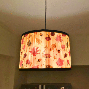 Printed Bamboo Shade (PB-03), Ceiling Mount