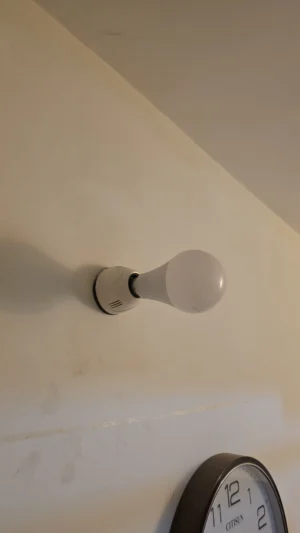 9 Watt Warm Bulb