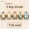BIG Any five Big Bulb Shades